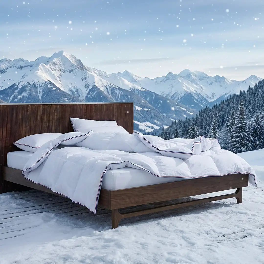 Offre Jours Blancs - Ensemble Hôtel